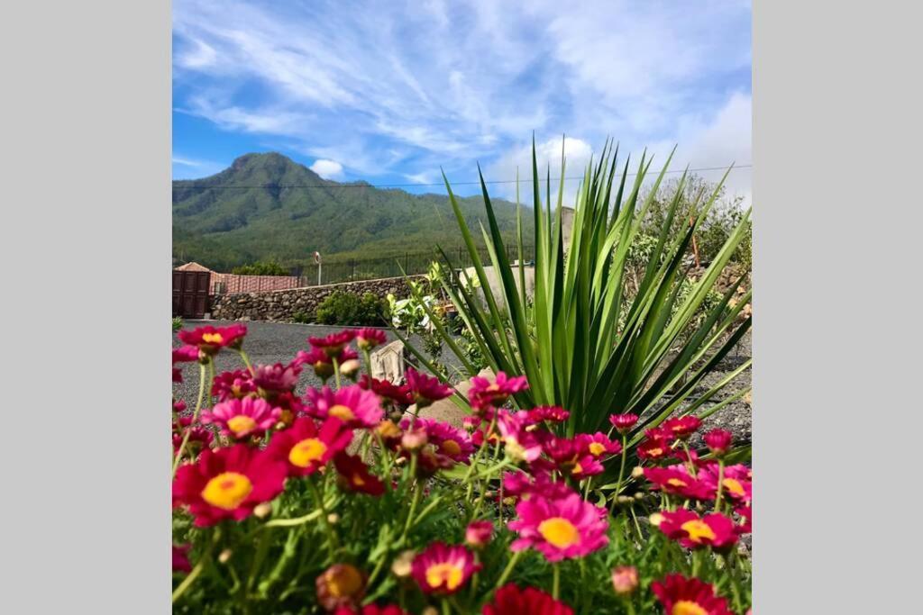 Casita La Rosa Villa El Paso Buitenkant foto